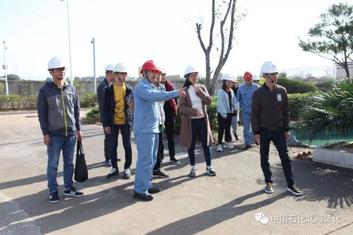 走綠色發展之路，樹環保標桿企業——環境保護監測的核心使命與實踐路徑