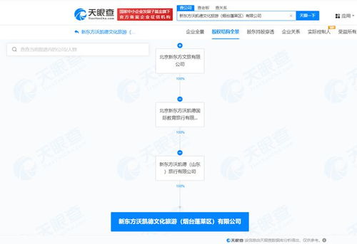 新東方文旅在煙臺成立新公司，聚焦計(jì)算機(jī)網(wǎng)絡(luò)信息及軟件技術(shù)開發(fā)