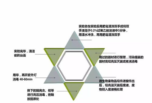 實業運營與建設 現代經濟發展的核心驅動力